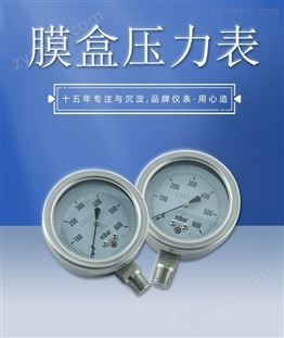 過壓防止型微壓表 膜盒真空燃氣隔膜壓力表