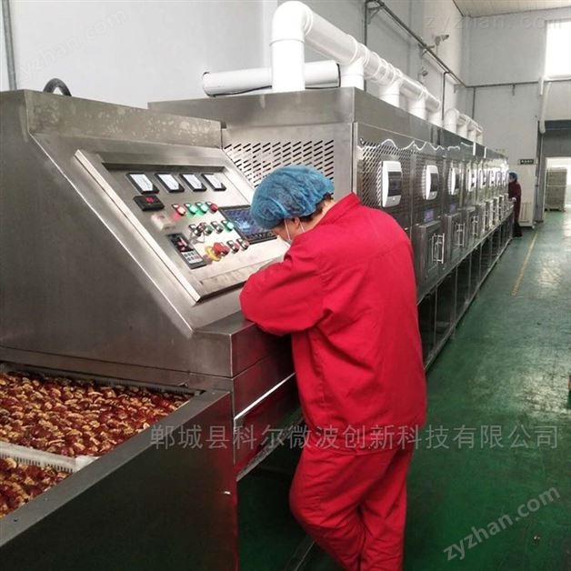 坚果微波烘干杀菌设备 大枣灭活杀虫卵机