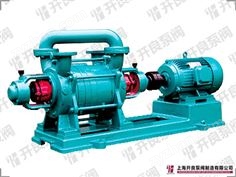 2SK系列水環(huán)式真空泵
