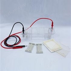 北京六一瓊脂糖水平電泳槽DYCP-31CN