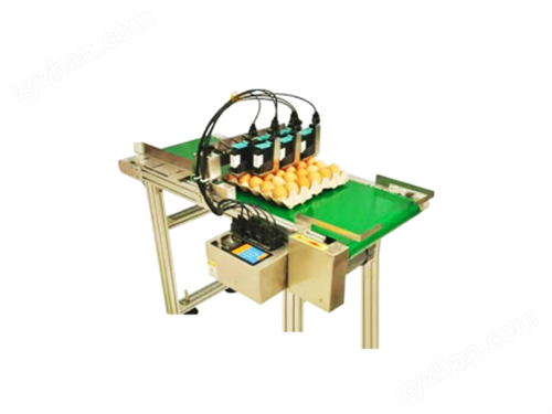 ����ר�������