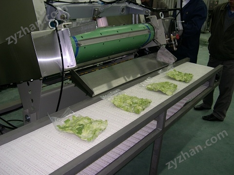 網(wǎng)帶輸送機(jī)